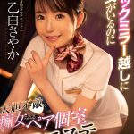 【VR】イチャイチャ～前戯～セックスまで1コーナー丸ごと完全ノーカット収録 大ボリューム875分！エスワンVRベスト厳選19人！超没入19本番 ｜sivr00254